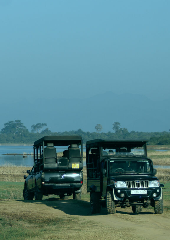 We offer 06 hours safari tour starting from US $ 10 onward with most experienced guide.