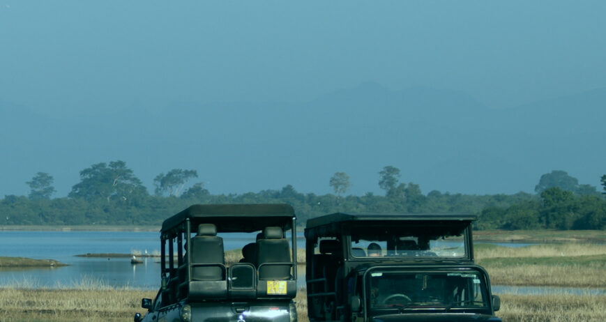 We offer 06 hours safari tour starting from US $ 10 onward with most experienced guide.