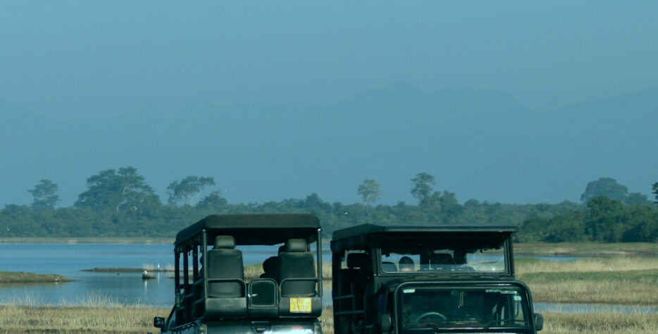 We offer 06 hours safari tour starting from US $ 10 onward with most experienced guide.