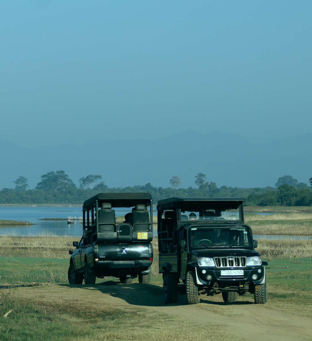 We offer 06 hours safari tour starting from US $ 10 onward with most experienced guide.