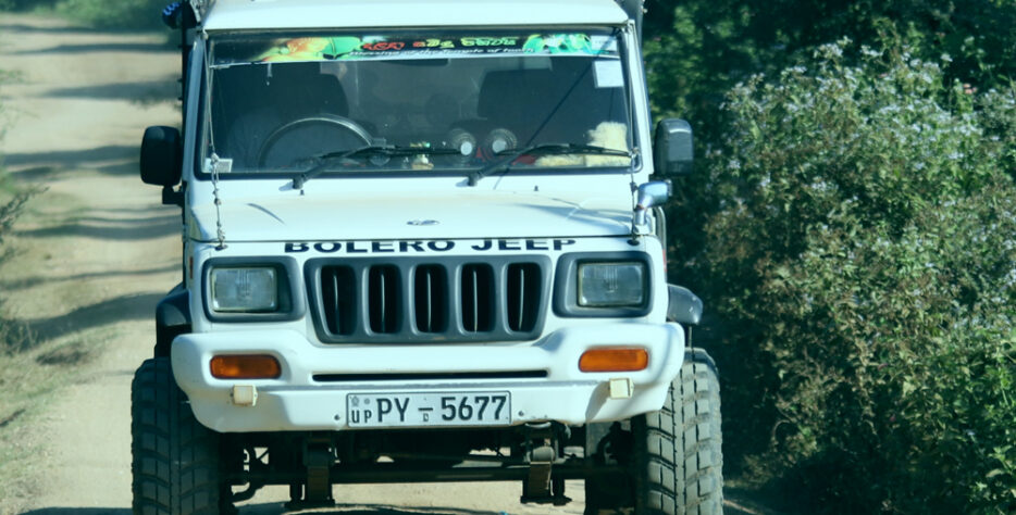 We offer 10 hours safari tour starting from US $ 12 onward with most experienced guide.