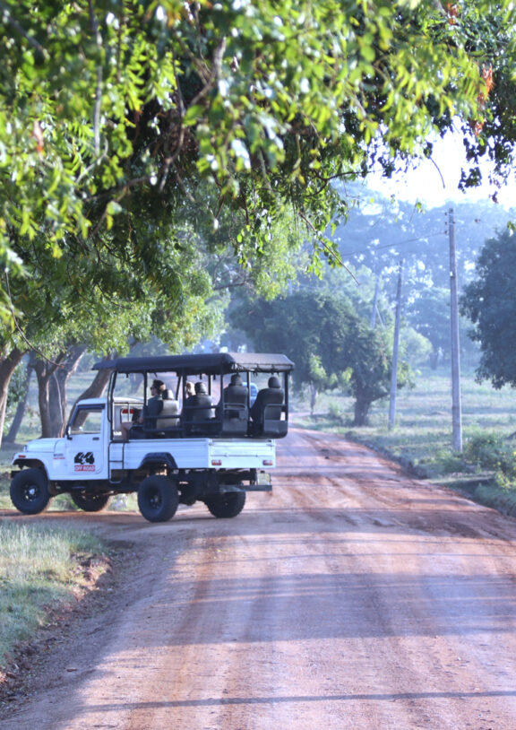 Whether you are looking for a cozy retreat or a budget-friendly stay, our accommodations are designed to be your "home away from home" in the heart of Udawalawe. We offer a variety of options to suit every traveler: