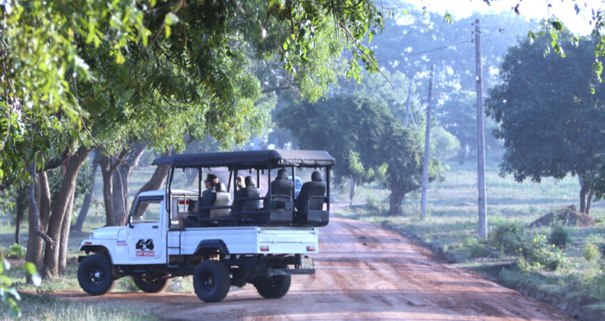 Whether you are looking for a cozy retreat or a budget-friendly stay, our accommodations are designed to be your "home away from home" in the heart of Udawalawe. We offer a variety of options to suit every traveler: