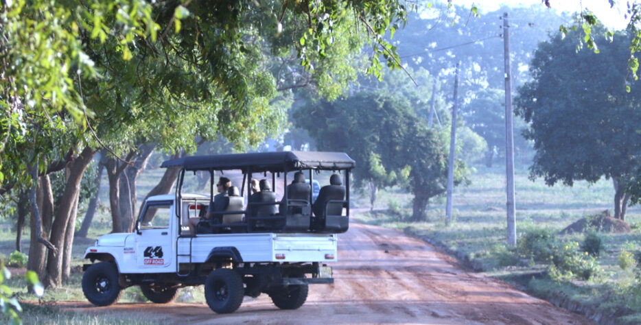 Whether you are looking for a cozy retreat or a budget-friendly stay, our accommodations are designed to be your "home away from home" in the heart of Udawalawe. We offer a variety of options to suit every traveler: